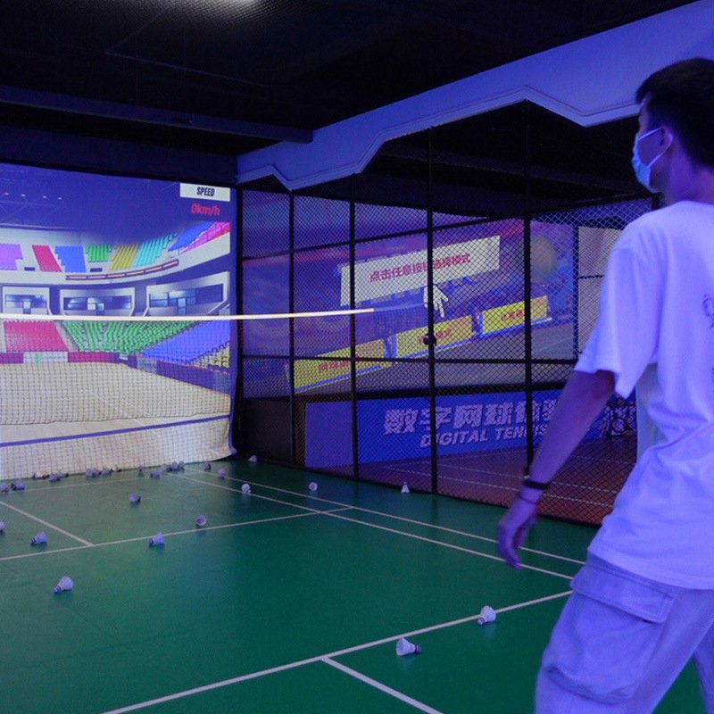 Badminton Simulation